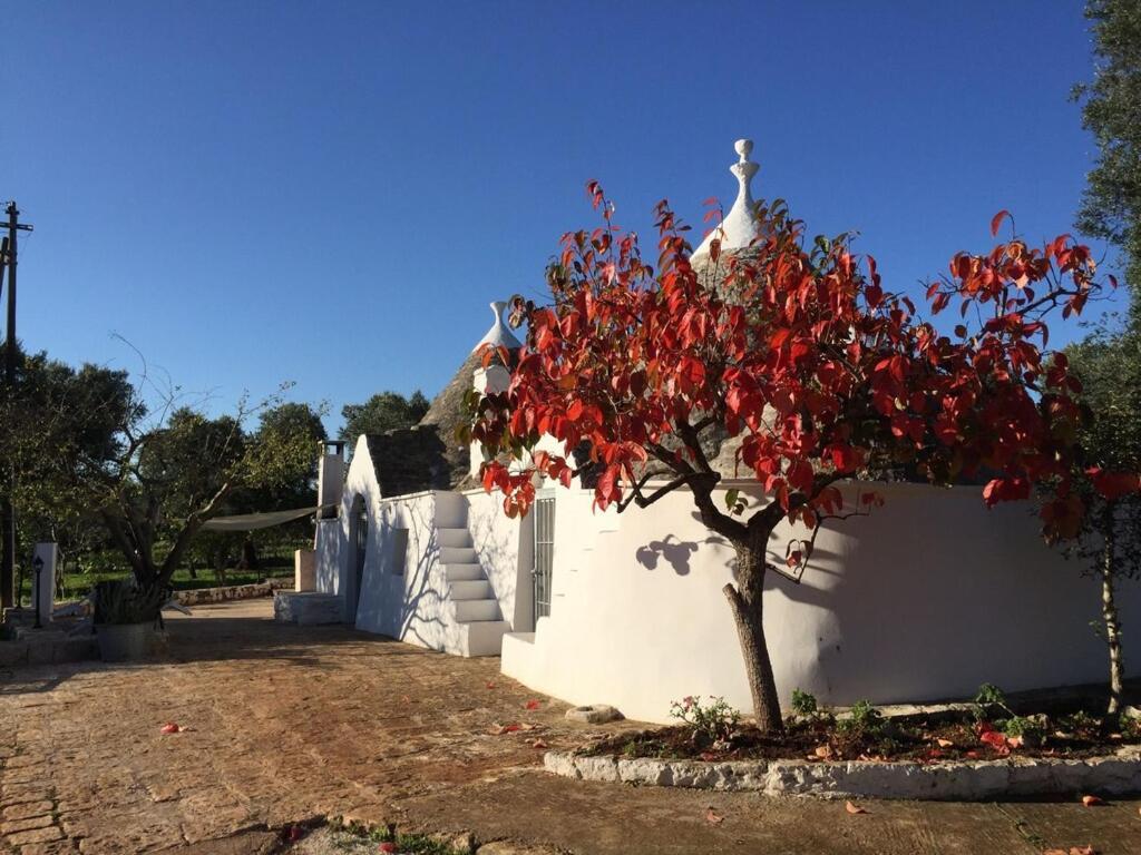 Chateaux Des Trulli San Michele Salentino Ngoại thất bức ảnh