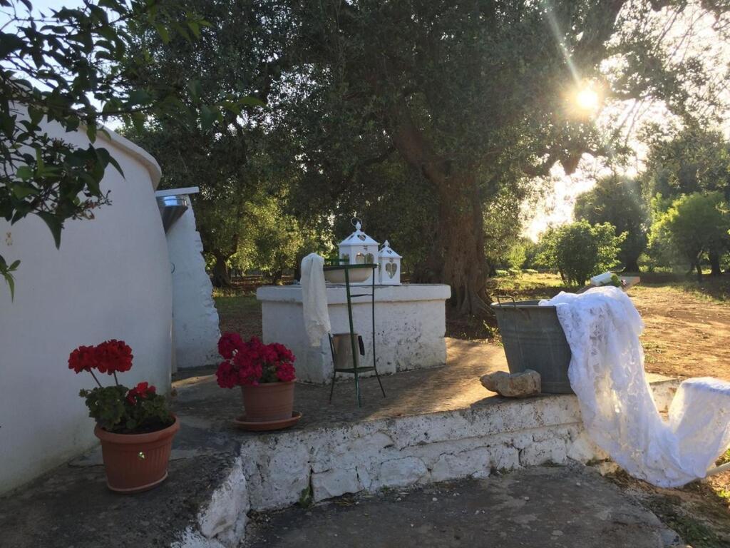 Chateaux Des Trulli San Michele Salentino Ngoại thất bức ảnh